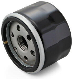 DAYTONA fCgi vCX ICtB^[yƖp 10z S1000RR R1200RS R1200GS ADV K1300S K1300R K1300GT RnineT BMW ICtB^[ IC