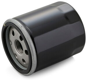 DAYTONA fCgi vCX ICtB^[yƖp 10z HARLEY-DAVIDSON n[[_rbh\ ICtB^[ IC