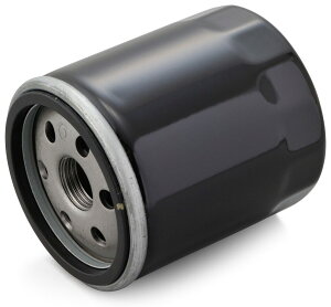 DAYTONA fCgi vCX ICtB^[yƖp 10z HARLEY-DAVIDSON n[[_rbh\ ICtB^[ IC