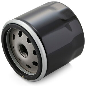 DAYTONA fCgi vCX ICtB^[yƖp 10z _Ci [C_[ X^[WXFXB ChOCh XLSX|[cX^[ XLHX|[cX^[ XLXX|[cX^[ XR HARLEY-DAVIDSON n