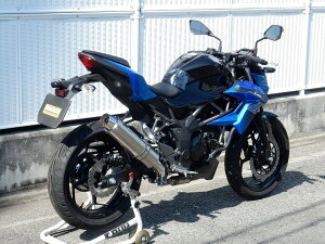 WRfS _uA[Y AGL][Xg XbvI}t[ Z250SL KAWASAKI JTL }t[