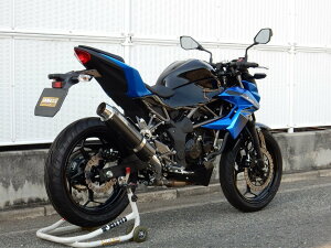 WRfS _uA[Y AGL][Xg XbvI}t[ Z250SL KAWASAKI JTL }t[