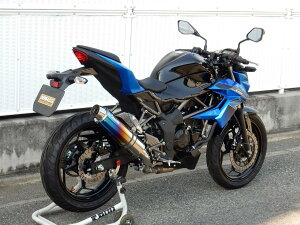 WR�fS �_�u���A�[���Y ���A�G�L�]�[�X�g �X���b�v�I���}�t���[ Z250SL KAWASAKI �J���T�L �}�t���[