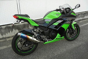 WRfS _uA[Y AGL][Xg XbvI}t[ Ninja250 Z250 KAWASAKI JTL }t[