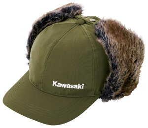 Kawasaki JTL pCbgLbv LbvEXq Ap