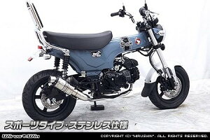 WirusWin ECYEB V[g}t[ X|[c^Cv _bNX125 HONDA z_ tGL][Xg}t[ }t[ fރoG[VFXeXdl