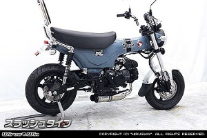 WirusWin ECYEB _E}t[ XbV^Cv _bNX125 HONDA z_ tGL][Xg}t[ }t[