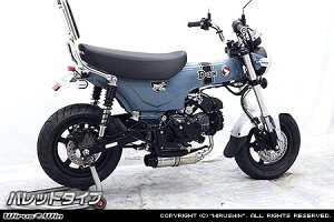 WirusWin ECYEB _E}t[ obg^Cv _bNX125 HONDA z_ tGL][Xg}t[ }t[