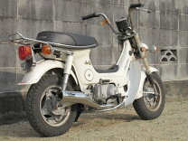 楽天市場】シャリー マフラー ミニモトの通販