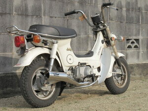 HOT LAP �z�b�g���b�v �h���b�O�}�t���[ �V�����[ HONDA �z���_ �t���G�L�]�[�X�g�}�t���[ �}�t���[