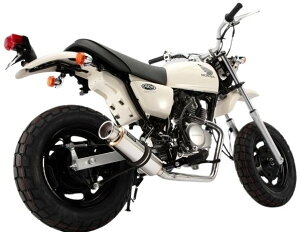 BEAMS r[X SS300 tGL][Xg}t[ GCv100 HONDA z_ }t[ TCT[F\jbN_E^Cv