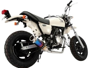 BEAMS ビームス SS300 フルエキゾーストマフラー エイプ50 HONDA ホンダ マフラー サイレンサー:チタンダウンタイプ