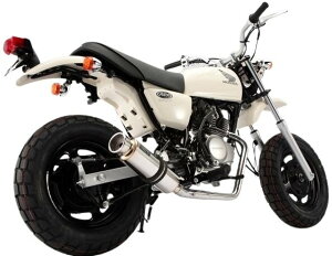 BEAMS r[X SS300 tGL][Xg}t[ GCv50 HONDA z_ }t[ TCT[F\jbN_E^Cv