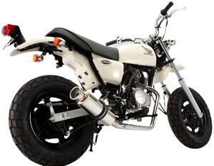BEAMS r[X SS300 tGL][Xg}t[ GCv50 HONDA z_ }t[ TCT[F\jbN_E^Cv
