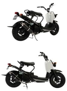 BEAMS r[X SS300J[{SP JMCAF}t[ Y[}[ HONDA z_ tGL][Xg}t[ }t[