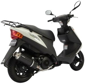 BEAMS r[X SS300 tGL][Xg}t[ AhXV125 SUZUKI XYL }t[
