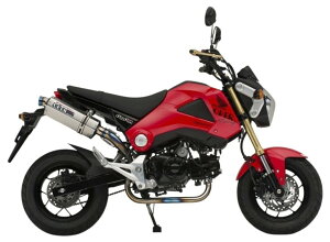 OVER I[@[ TT-Formula t`^ Abv^Cv GROM HONDA z_ tGL][Xg}t[ }t[