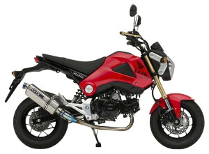 OVER I[@[ TT-Formula t`^ GROM HONDA z_ tGL][Xg}t[ }t[