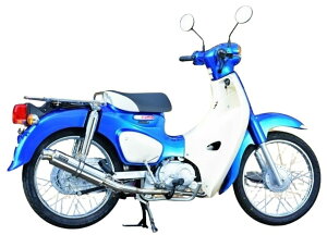 BEAMS r[X R-EVO _E^Cv tGL][Xg}t[ (JMCA^{F) X[p[Ju110 HONDA z_ }t[ ^CvFXeX^dʁF3.05kg(F3.35kg)