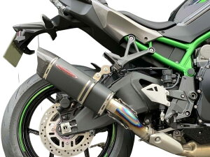 STRIKER XgCJ[ INTER MODEL RC XbvI OFF-TypeB [VO Z H2 KAWASAKI JTL XbvI}t[ }t[ TCT[^CvF`^CKubN