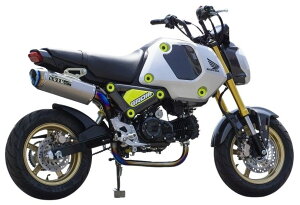 OVER I[@[ TT-Formula RS t`^ Abv^Cv [VO GROM HONDA z_ tGL][Xg}t[ }t[