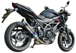 BEAMS r[X R-EVO2 XbvI}t[ {F SV650 ABS SV650X SUZUKI XYL }t[ TCT[^CvFq[g`^(dʁF2.5kgy4.35kgz)