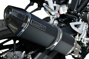 BEAMS r[X CORSA-EVOII XbvI}t[ {F SV650 ABS SV650X SUZUKI XYL }t[ TCT[^CvF}bgubN(dʁF2.55kgy4.35kgz)