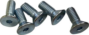Drag Specialties �h���b�O�X�y�V�����e�B�[�Y Rotor Screws�m2401-1591�n �ėp�{���g�E�l�W