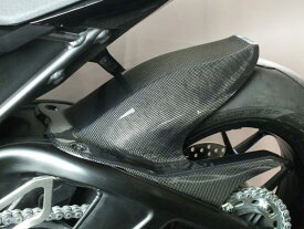 TSR テクニカルスポーツレーシング カーボンリアフェンダー CBR1000RR-R HONDA ホンダ リアフェンダー フェンダー関連 外装