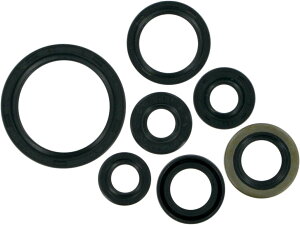 MOOSE RACING ���[�X���[�V���O �I�C���V�[���L�b�g [0934-0163] DR-Z 400 S KLX SR SM R E K SUZUKI �X�Y�L KAWASAKI �J���T�L �I�C���V�[�� �G���W���p�[�c �G���W��
