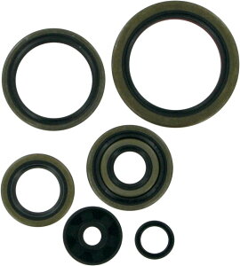 MOOSE RACING ���[�X���[�V���O �I�C���V�[���L�b�g [0934-0167] 250 SXS EXC SX MXC KTM �I�C���V�[�� �G���W���p�[�c �G���W��