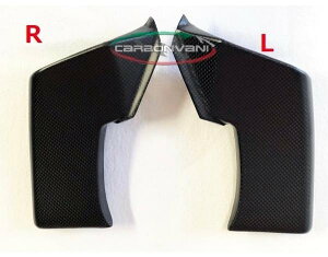 CARBONVANI J[{o[j AEECO Xg[gt@C^[V4 Xg[gt@C^[V4S DUCATI hDJeB X|C[EECO O