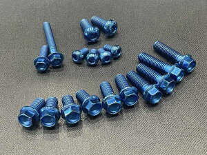 Titanium Power �`�^�j�E���p���[ �`�^���{���g�Z�b�g BabyFace�p�t�H�[�}���X�X�e�b�v�L�b�g�p Z900RS KAWASAKI �J���T�L ���̑��X�e�b�v�I�v�V�����E��C���i �X�e�b�v �����