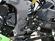 BABYFACE ベビーフェイス バックステップキット ニンジャ250SL KAWASAKI カワサキ バックステップ ステッ…
