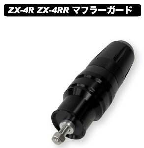 World Walk [hEH[N }t[K[h Ninja ZX-4R SE ZX-4RR KAWASAKI JTL }t[K[hEq[gK[h }t[