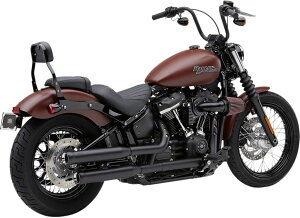 COBRA Ru Neighbor Hater XbvI}t[ Softail Fat Boy 114 FLFBS Street Bob FXBB Slim FLSL Low Rider FXLR Breakout FXBRS FLFB FXBR HARLEY-DAVIDSON n[[_rbh\ }t[ Color/FinishFBlack(Base ColorFBlack)