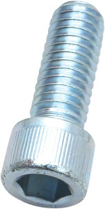 S&S CYCLE GXAhGX TCN Socket Head Cap Screw ̑Lu^[IvVECi zC֘A GW Thread Length ImperialF1D00'm1003-1730n