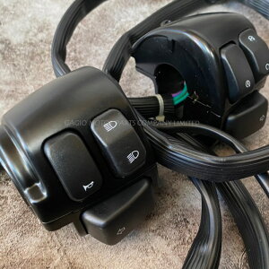 GAGIO MOTOR PARTS KWI[^[p[c Handle switch 25mm. nhXCb`EXCb`{bNX nhӃp[c nh