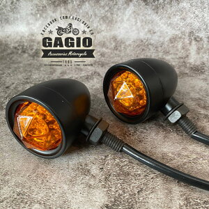GAGIO MOTOR PARTS �K�W�I���[�^�[�p�[�c Turn lights with diamond eyes 3 systems �E�C���J�[ ���Η� �d���n