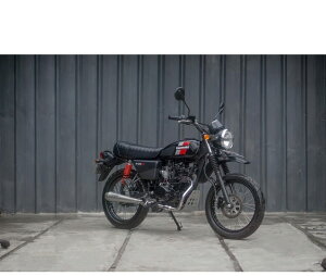 CustomKit JX^Lbg tGL][Xg}t[ Cone W175 TR KAWASAKI JTL }t[