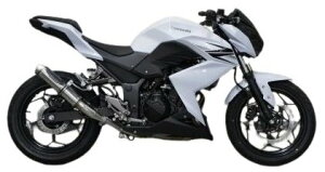 TRICKSTAR gbNX^[ [VOXbvI}t[ Z250 KAWASAKI JTL XbvI}t[ }t[