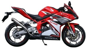 TRICKSTAR �g���b�N�X�^�[ ���[�V���O�X���b�v�I���@���_ CBR250RR2017- HONDA �z���_ �X���b�v�I���}�t���[ �}�t���[