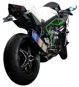 TRICKSTAR gbNX^[ XbvI}t[ IKAZUCHI (CJd`) {F Ninja H2 CARBON KAWASAKI JTL }t[ TCT[^CvFă`^