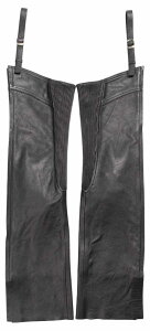 DEGNER fOi[ veN^[tq[gK[h`bvX [X bOq[gK[h Ap