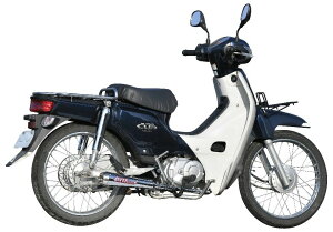 NR}WbN GkA[}WbN Royal Billy(Cr[) }t[ X[p[Ju110 NXJu110 HONDA z_ tGL][Xg}t[