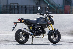 OVER I[@[ TT-Formula t`^ GROM HONDA z_ tGL][Xg}t[ }t[