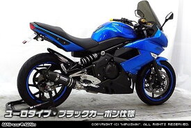 WirusWin ウイルズウィン ダイナミックマフラー スラッシュタイプ ER-4n ニンジャ400R KAWASAKI カワサキ KAWASAKI カワサキ