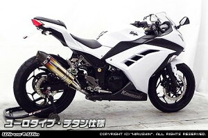 WirusWin ECYEB XbvI}t[ [^Cv jW250 KAWASAKI JTL }t[