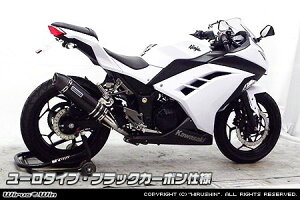 WirusWin ECYEB XbvI}t[ [^Cv jW250 KAWASAKI JTL }t[