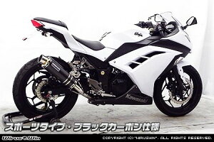 WirusWin ECYEB XbvI}t[ X|[c^Cv jW250 KAWASAKI JTL }t[